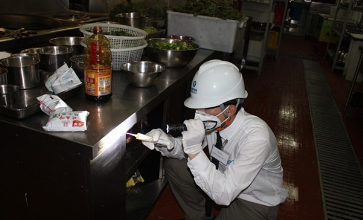 灭蟑螂产品展示